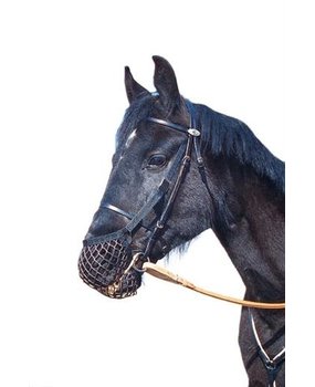 Wahlstén Net Caveson