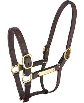 Zilco Synthetische lederen look halter Z