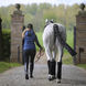 Kentucky Gros pads bandage Kentucky Gros pads bandage