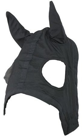 Wahlstén Face hood
