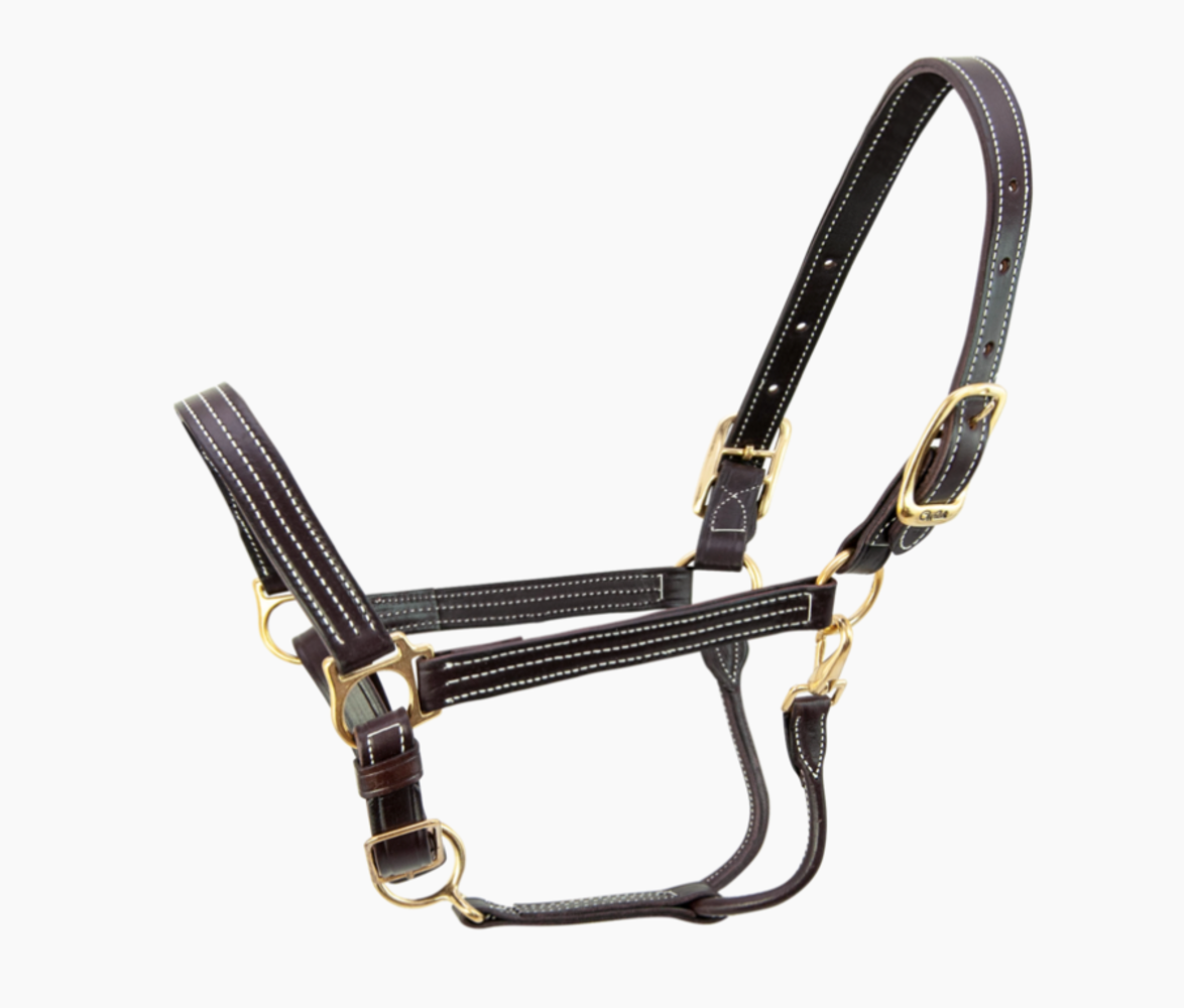 Walsh Leather Halter