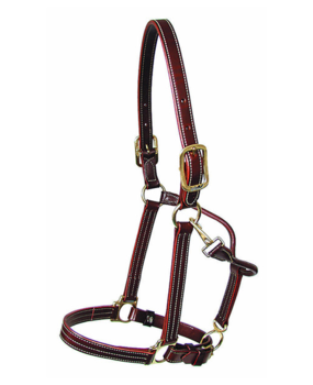 Walsh Lederen Halter