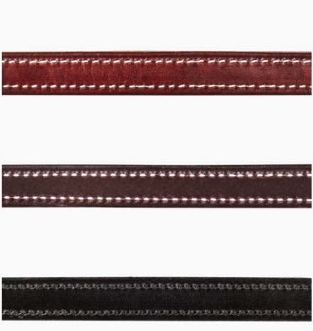 Walsh Lederen Halter