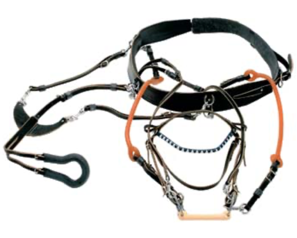 Racing Tack Harnais débourrage RT