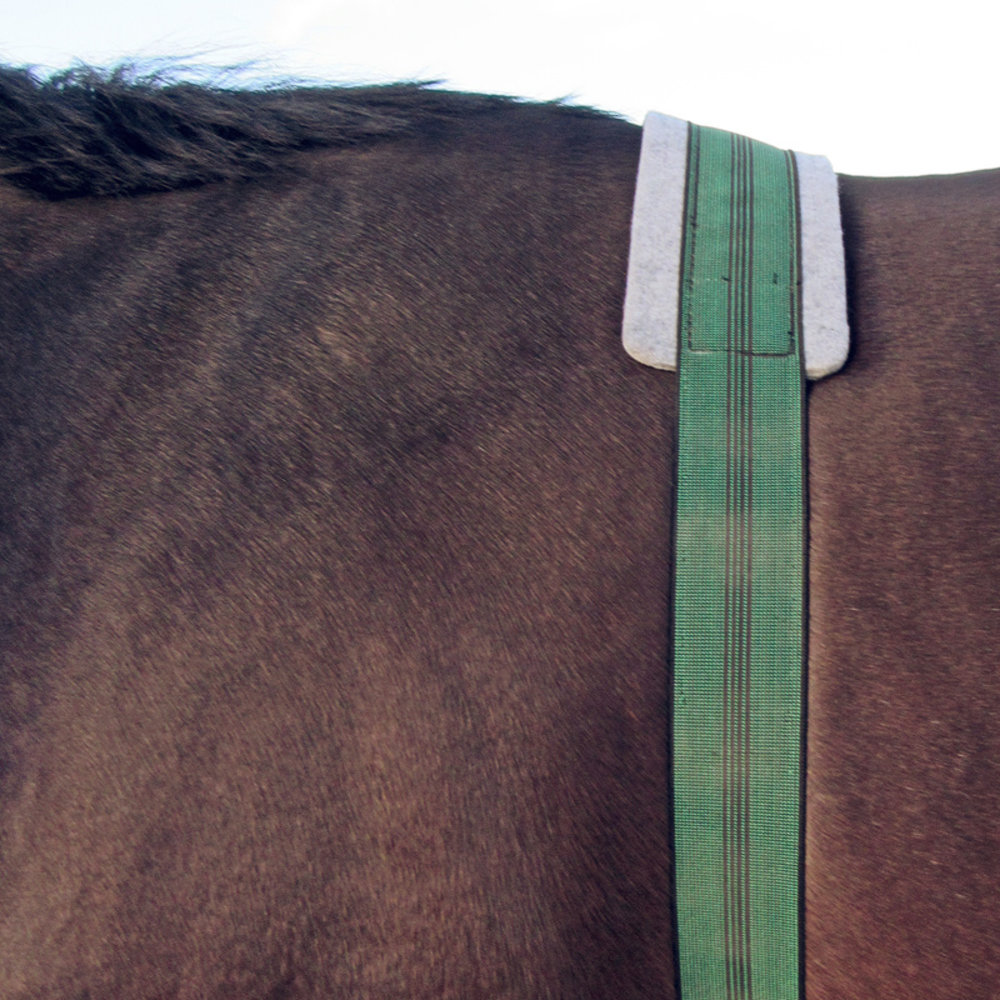 Elastic blanket strap comfort Elastic blanket strap comfort