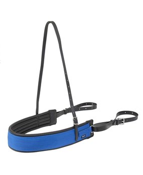 Wahlstén Borstriem breed Wahlstén Borstriem breed