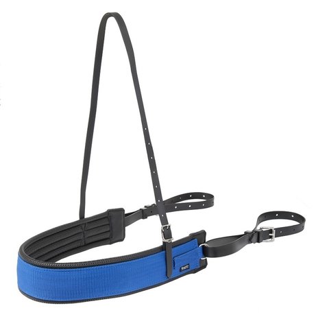 Wahlstén Borstriem breed Wahlstén Borstriem breed