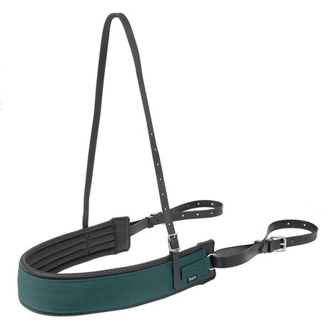 Wahlstén Borstriem breed Wahlstén Borstriem breed