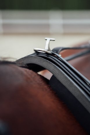 FinnTack Training harnais dik