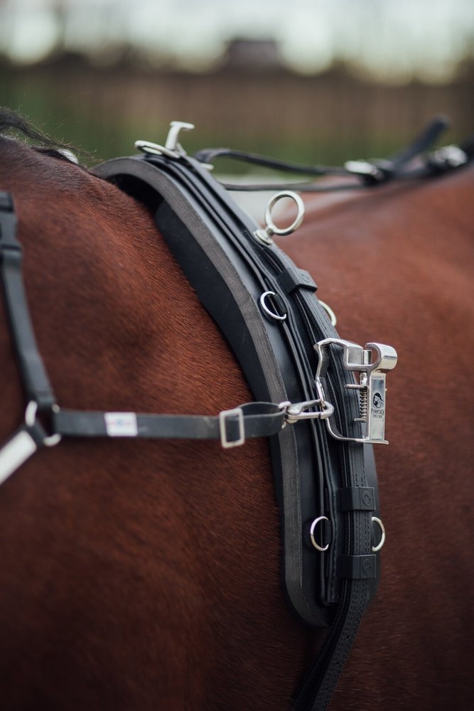 FinnTack Lightweight training harness