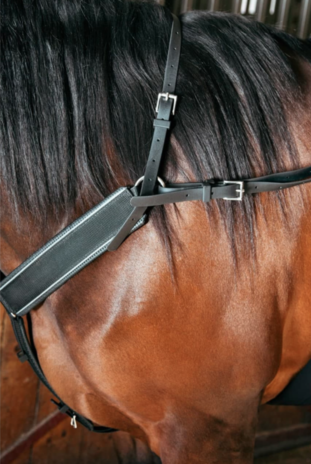 FinnTack Breastcollar Y training FinnTack Breastcollar Y training