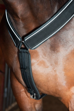 FinnTack Breastcollar Y training FinnTack Breastcollar Y training