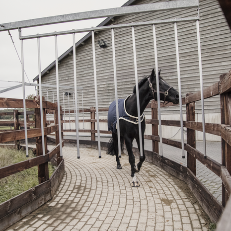 Kentucky Walker rug waterproof 160gr Kentucky Walker rug waterproof 160gr