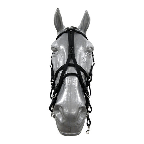 Trotdirect Bridle Nylon Trotdirect Bridle Nylon