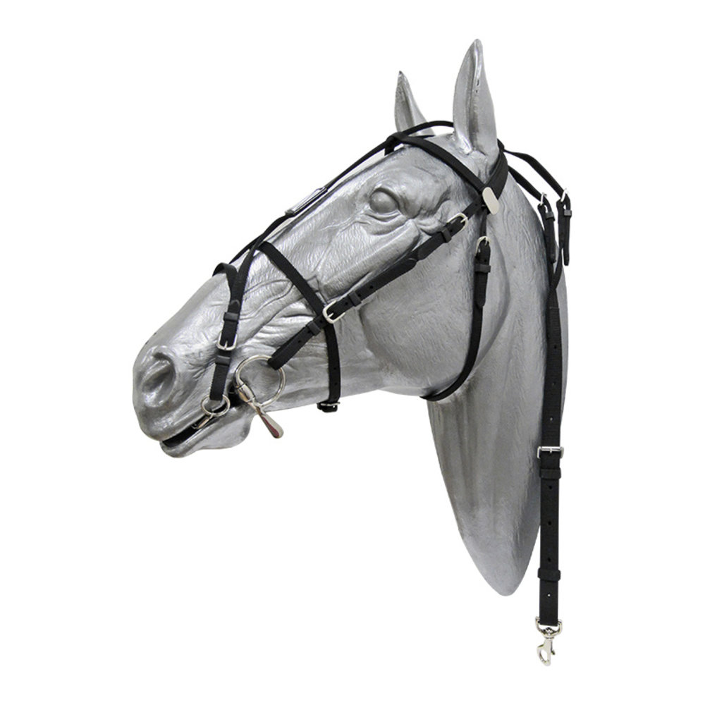 Trotdirect Hoofdstel Nylon Trotdirect Hoofdstel Nylon