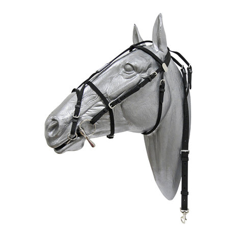 Trotdirect Hoofdstel Nylon Trotdirect Hoofdstel Nylon