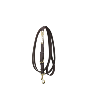 Kentucky Longe de presentation beta Kentucky Longe de presentation beta