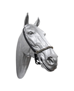 Head halter leer met fietsketting