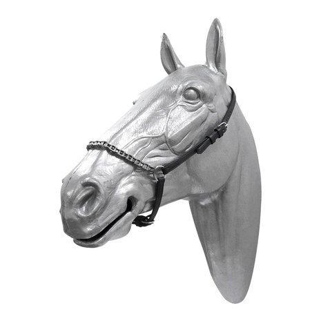 Head halter with chain