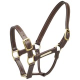 Synthetic halter leather look