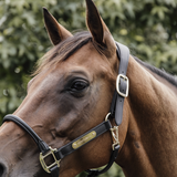 Kentucky Licol anatomique cuir Kentucky Licol anatomique cuir
