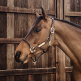 Kentucky Leder halster met koord