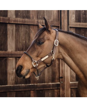 Kentucky Leder halster met koord