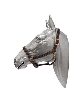 Trotdirect Licol cuir