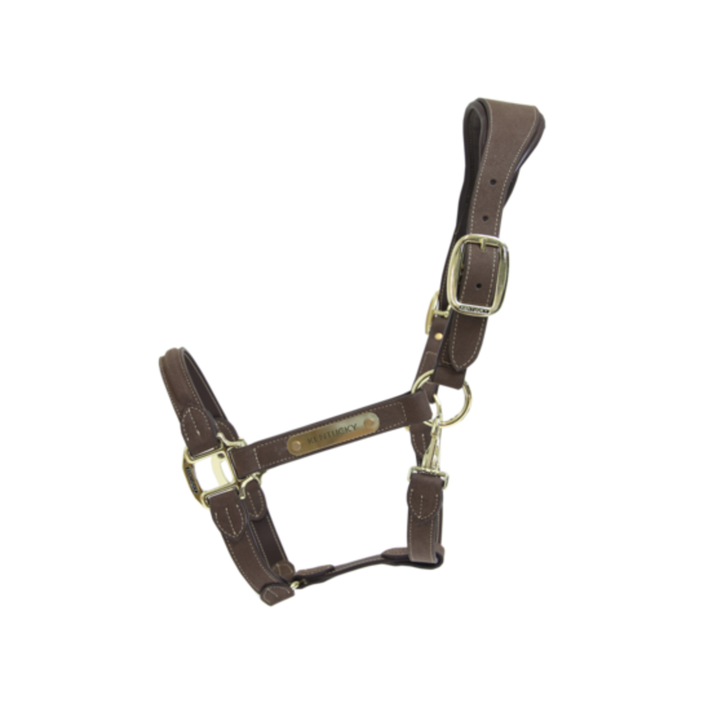 Kentucky Anatomisch halter suede