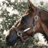 Kentucky Anatomic halter suede