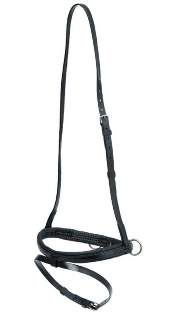 Head halter synth  met flash Head halter synth  met flash