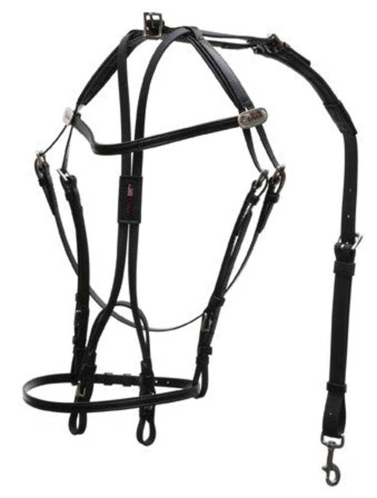 Walsh Open bridle Walsh