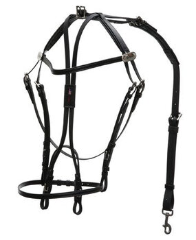 Walsh Open bridle