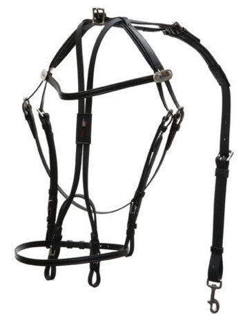 Walsh Open bridle Walsh