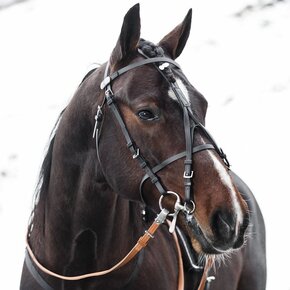 Bridles & accessories