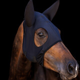 Lamicell Titanium Mask with ears