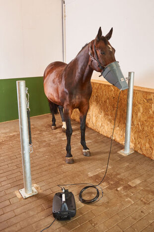 Trotdirect Masque Nebulizer