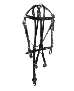 Racing Tack Hoofdstel leer open