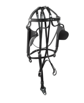 Racing Tack Bridle leather with round blinds