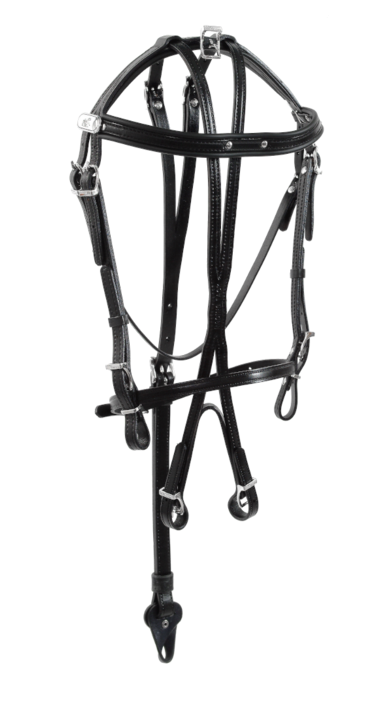 Racing Tack Hoofdstel panurge leer Racing Tack Hoofdstel panurge leer