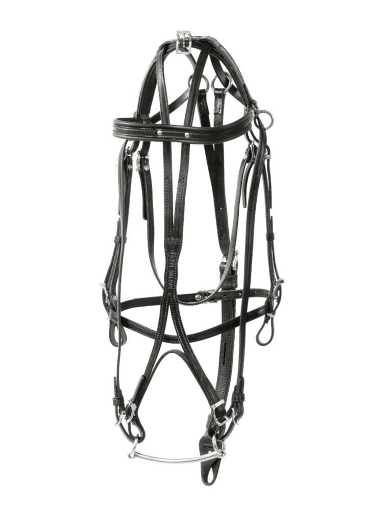 Racing Tack Leather Panurge Bridle combined Racing Tack Leather Panurge Bridle combined