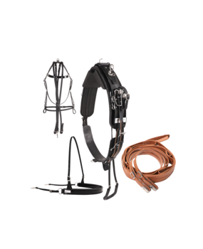 Racing Tack Harnais QH compleet