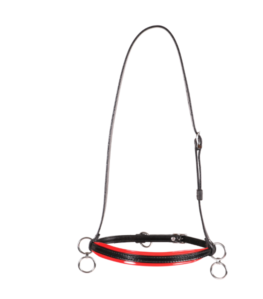 Racing Tack Petit licol beta