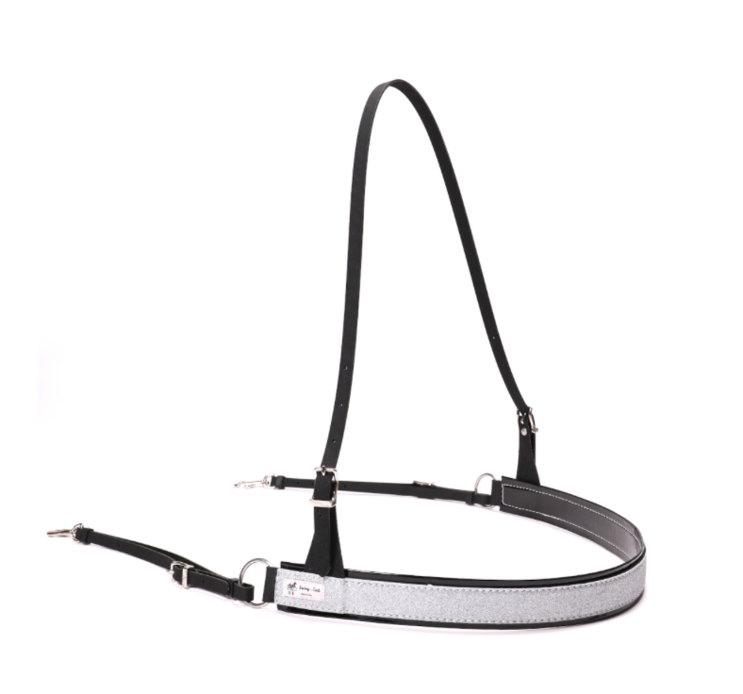 Racing Tack Poitrail tradi course