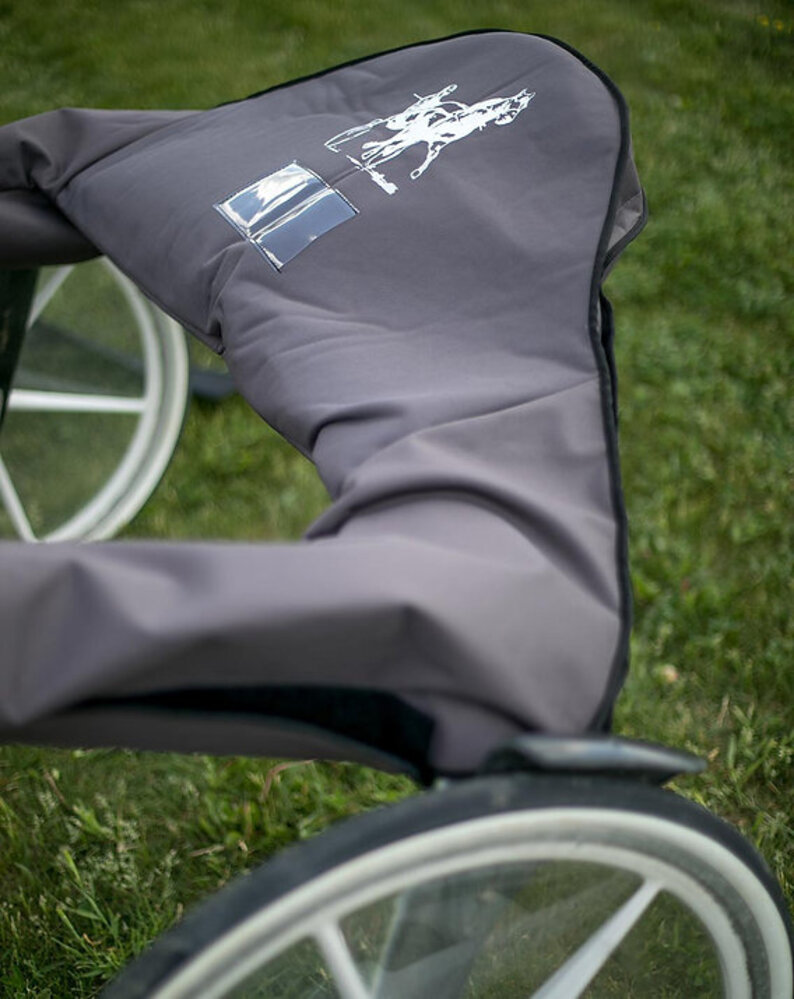 Trotdirect Protection for sulky