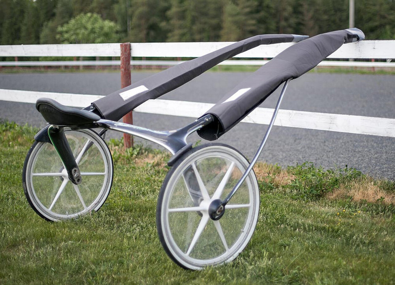 Trotdirect Hoes voor bomen Trotdirect Hoes voor bomen