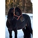 FinnTack Leather Halter heavy FinnTack Leather Halter heavy
