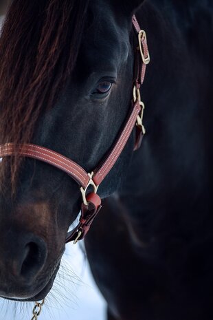 FinnTack Leather Halter heavy FinnTack Leather Halter heavy