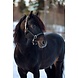 FinnTack Leather Halter heavy FinnTack Leather Halter heavy