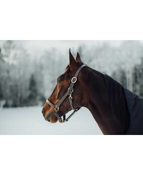 FinnTack Stalband leer dik